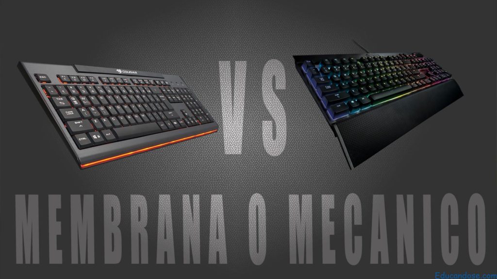 ¿Cuál es la vida util de un teclado de membrana?