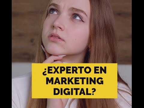 Experto en marketing digital